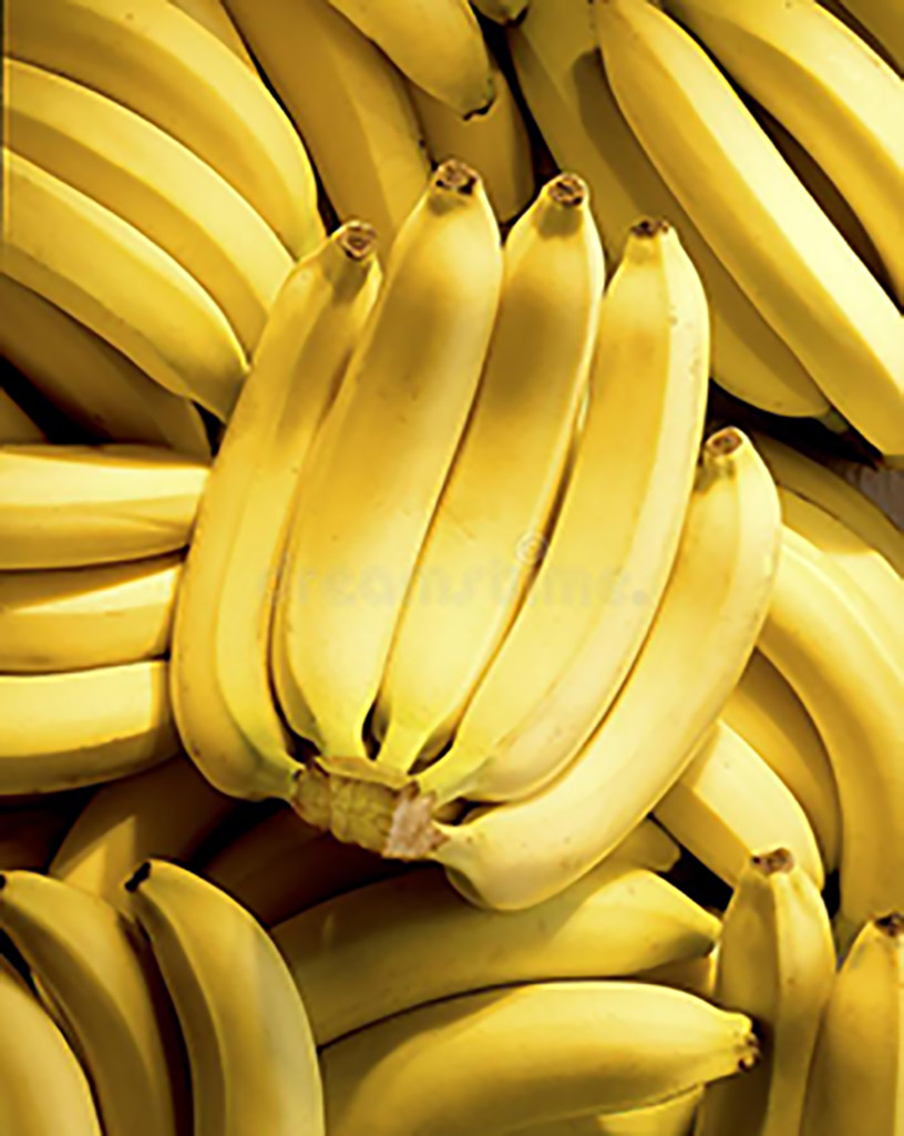 merluza